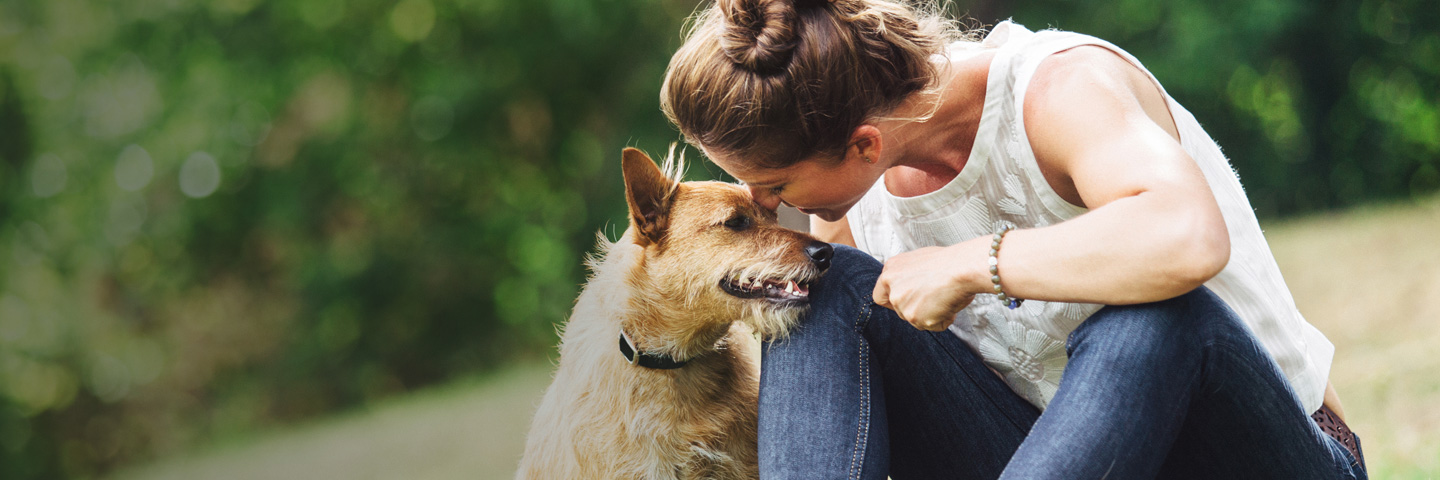 East Texas DogWatch, Bullard, Texas | BarkCollar No-Bark Trainer Slider Image